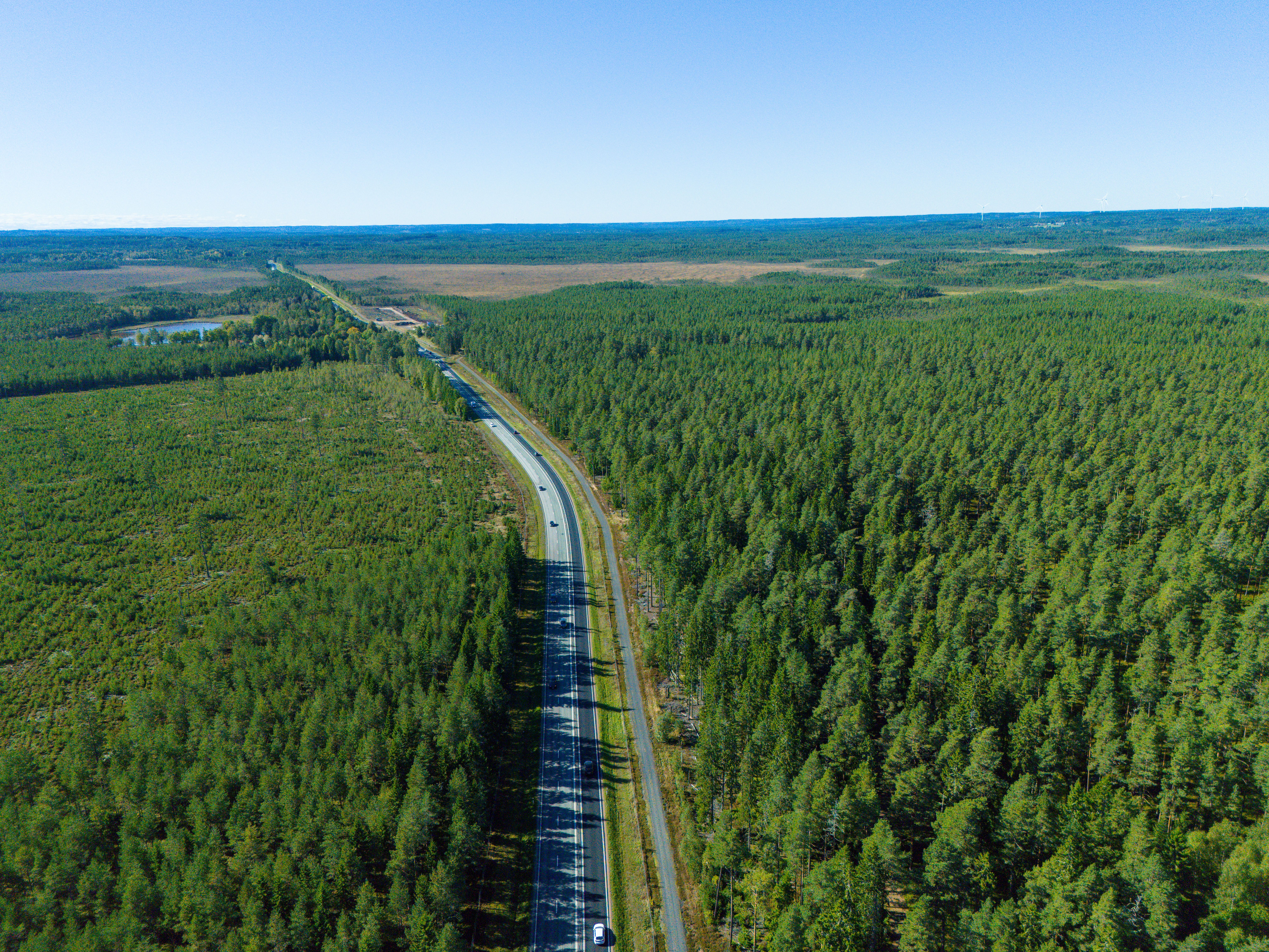 Väg genom skog, sedd från ovan